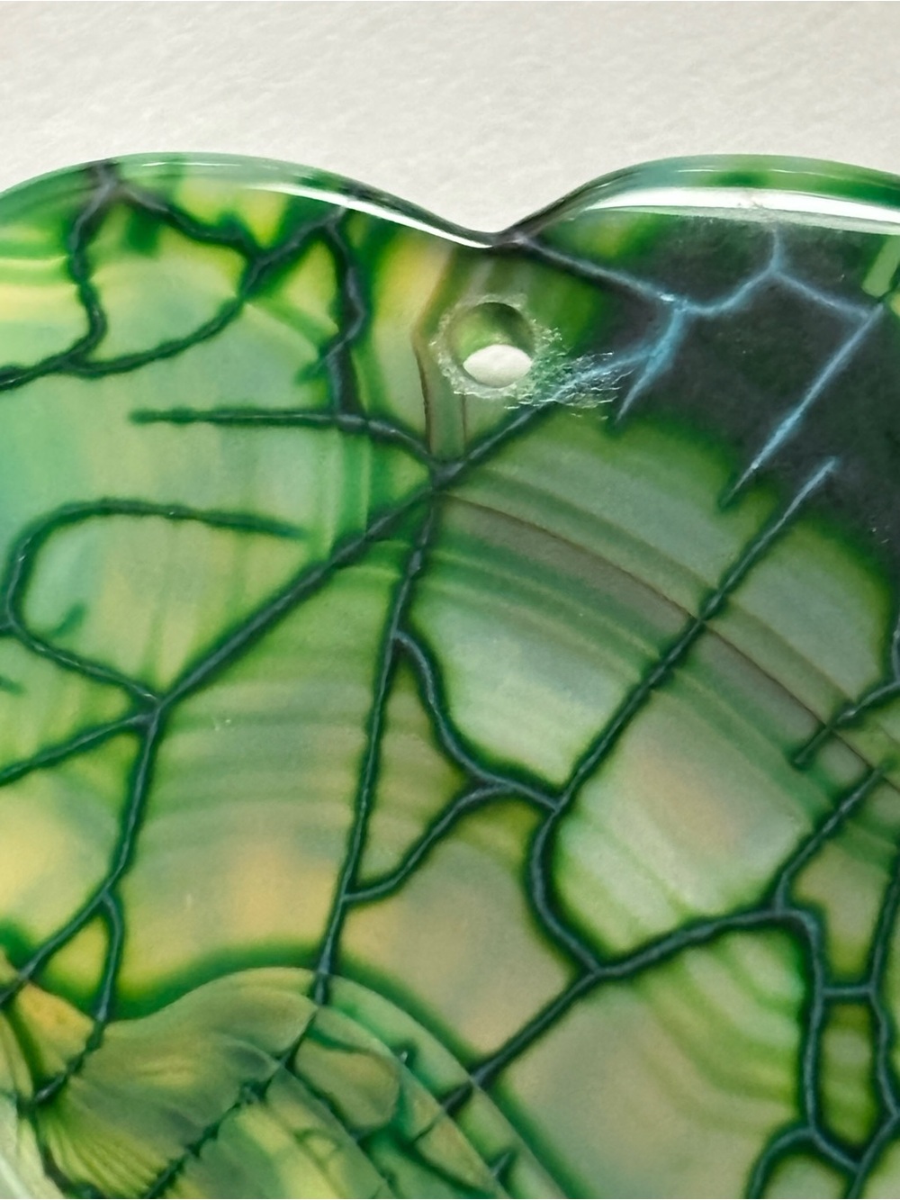 Close Up Vein Stem Leaf Phototropism Color Rock - Picture 7 of 16